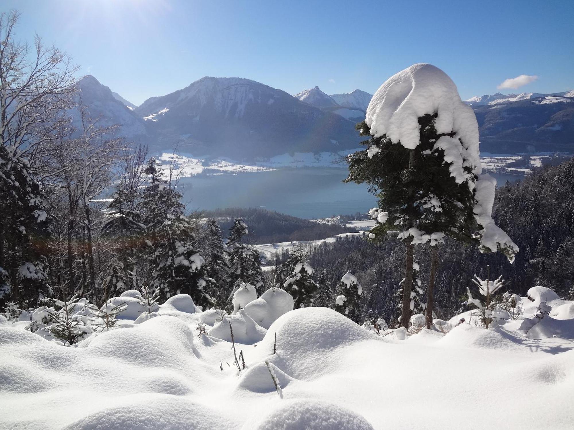 Appartement Scheibling Sankt Wolfgang im Salzkammergut Экстерьер фото